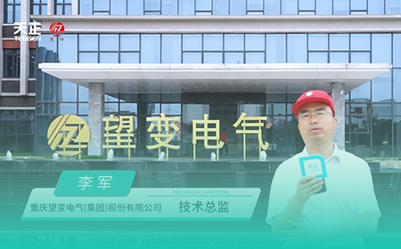 庄闲和游戏x望变电气