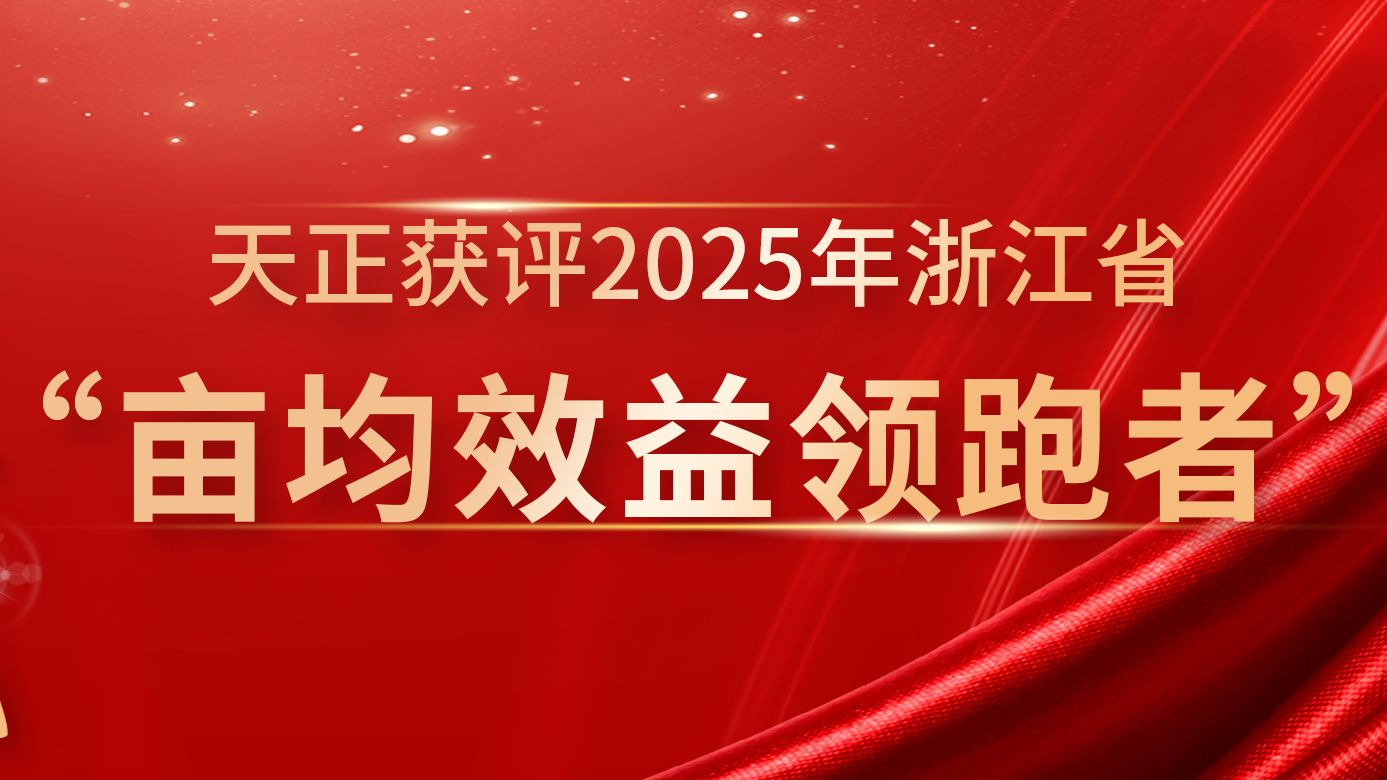 创新变革成效显著，庄闲和游戏再获亩均效益全省标杆